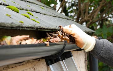 gutter cleaning Newnes, Shropshire