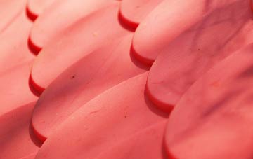 Newnes plastic roof costs