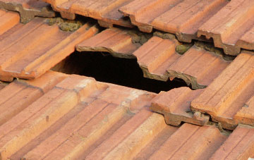 roof repair Newnes, Shropshire