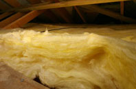 Newnes pitch roof insulation